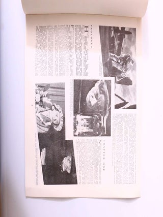 The Bride of Frankenstein (3/3)