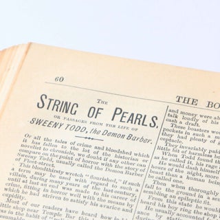 The Boy's Standard Volumes 19 and 20 (1/5)