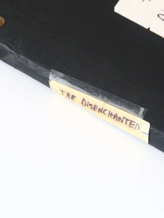 The Disenchanted (4/4)