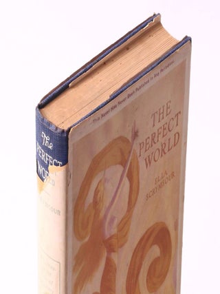 The Perfect World: A Romance of Strange People and Strange Places (2/4)